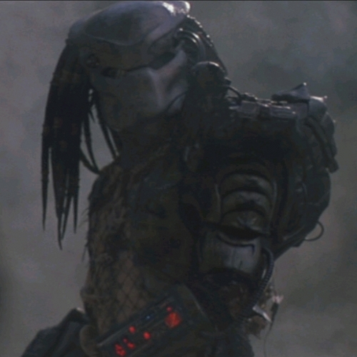 predator1